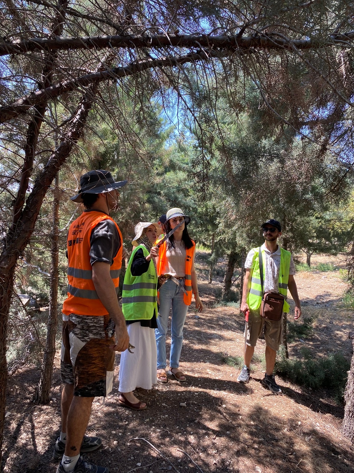 ESC – Avrupa Dayanışma Programı Nedir? Gençler İçin Bir Fırsatlar Dünyası